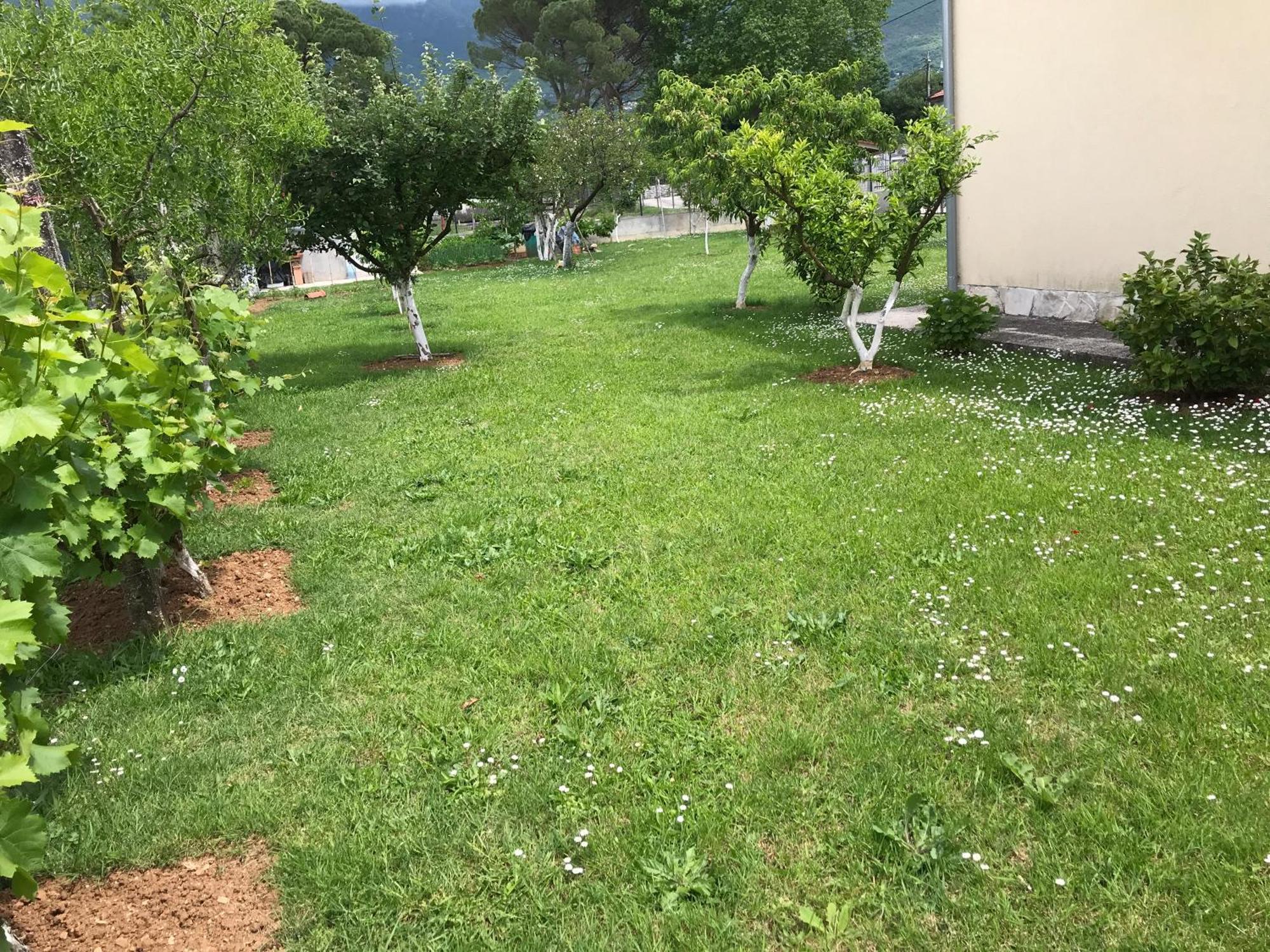 Apartment K2 Radanovići Eksteriør bilde